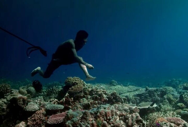 「海の遊牧民」バジャウ族の進化　Jago: A Life Underwater Trailer-Youtube