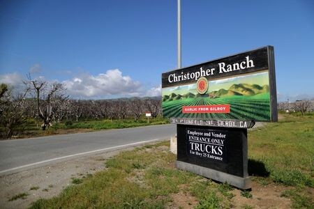 　米国最大のにんにく農場が今、収穫期を迎えて思わぬ壁に突き当たっている。季節労働者を１０００人採用する必要があるが、今年は新型コロナウイルスワクチンの接種状況を記録しなければならないのだ。写真はカリフォルニア州サンタクララ郡にある農場経営企業クリストファー・ランチのエントランス、２０１９年３月撮影（２０２１年　ロイター/Lucy Nicholson）