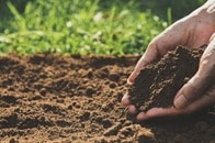 「植物の土壌」研究者を訪ねた驚き──けいはんなで文系と理系を考える