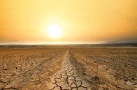 「食の安全保障」を脅かす「ゲリラ干ばつ」が1.5倍増・最新研究