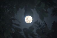 2025年2月12日は獅子座の満月「スノームーン」...観察方法や特徴を紹介