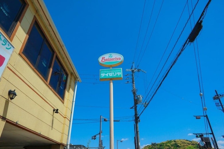 Palette vetra - shutterstock -