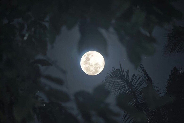 冬の夜空に輝くスノームーン、2025年2月12日にピークへ（写真はイメージです）　Ian Nicole Reambonanza-Unsplash