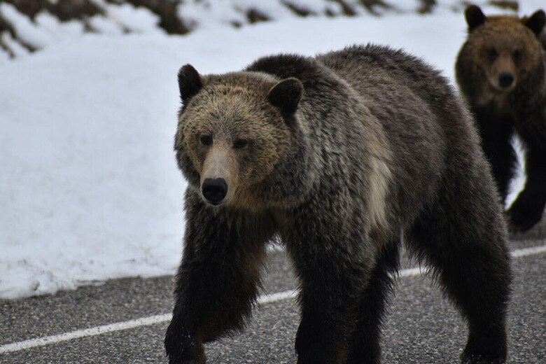 （写真はイメージです）　Taylor Wright-Unsplash