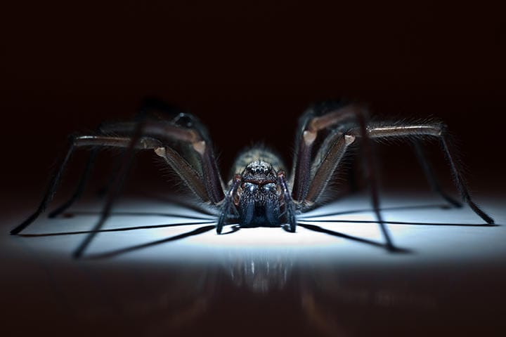 写真はイメージです　specnaz-s-iStock