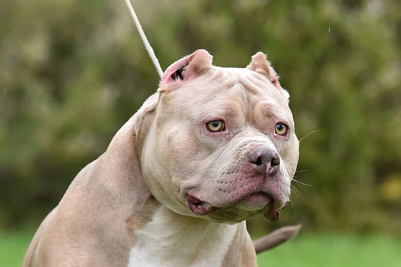 （写真はイメージです）　alberto clemares expósito-iStock