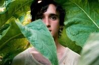 イタリアで実際に起きた事件を元に描かれた寓話的世界『幸福なラザロ』