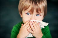 気候変動によって花粉症が重症化し、長引く傾向にある、との研究結果