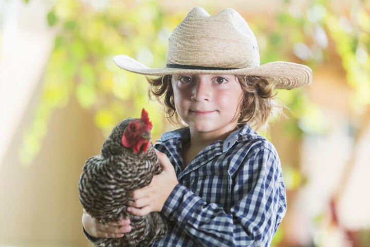 写真はイメージです　kali9-iStock.