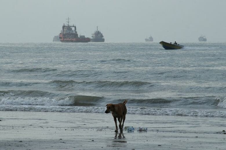 イラン南部バンダルアッバス沿岸付近のホルムズ海峡を航行する船舶。２７日撮影の提供写真。Razieh Poudat/ISNA/via WANA (West Asia News Agency)via REUTERS