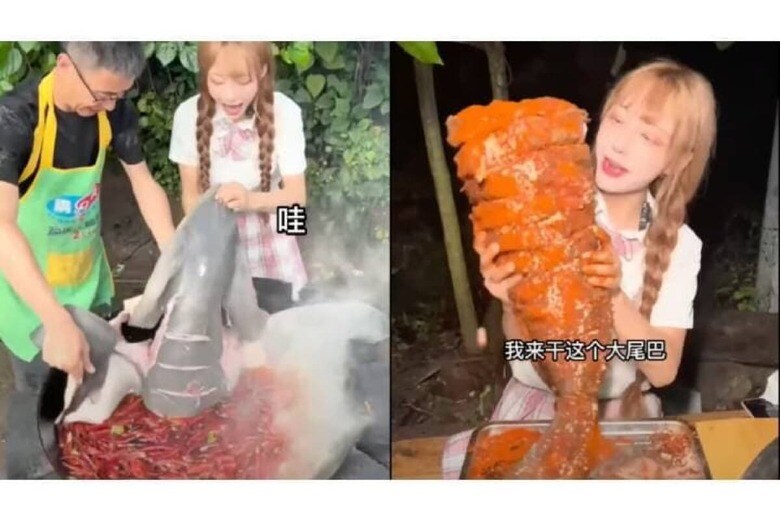 Photo via 羽城海岛生活