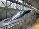 ベトナム北南高速鉄道計画、民間投資を解禁　VinspeedやThacoが名乗り 日本も関心を表明