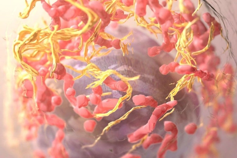 National Cancer Institute-unsplash