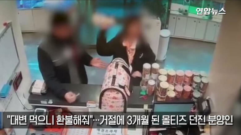 いくら腹が立ったにしても！　女性の蛮行に韓国中から非難が殺到　Yonhapnews / YouTube