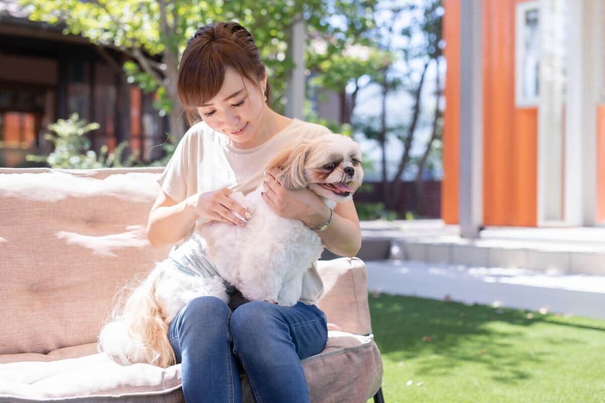動物介護資格｢犬猫介護アドバイザー｣取得で身に付ける老犬・老猫の介護