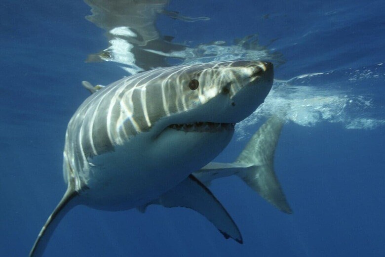 （写真はイメージです）　Oleksandr Sushko-Unsplash