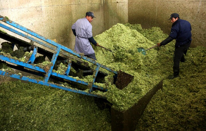 野菜くずから肥料を作る施設（中国山東省）　REUTERS