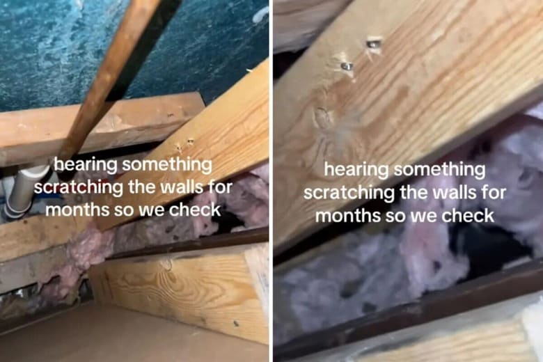 @maddienealee/TikTok