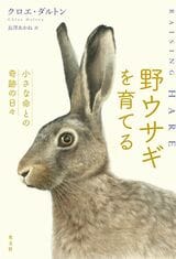 野ウサギを育てる