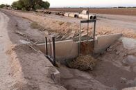 アングル：干上がる米西部、水争奪で農家と都市部に亀裂　休耕地に開発業者の影