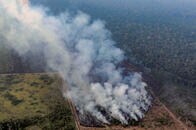ブラジルのトランプがアマゾンを燃やす暴君に