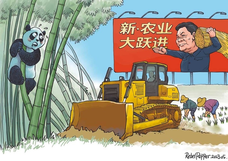 ©2023 REBEL PEPPER/WANG LIMING FOR NEWSWEEK JAPAN