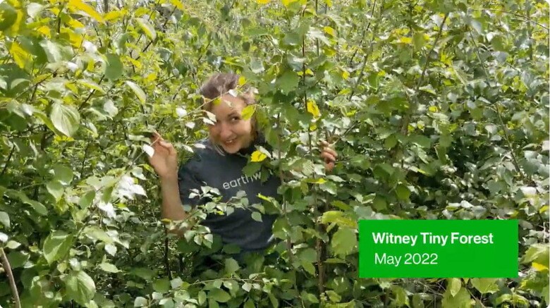 驚きの「小さな森」成長スピード。英環境団体アースウォッチ・ヨーロッパの<a href=\"https://www.youtube.com/watch?v=3M-TxB7Ja1c\" target=\"_blank\"><u>YouTube動画「Tiny Forest - see how quickly they grow!」</u></a>より