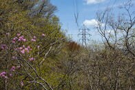 笹子峠越え 甲州街道の歴史が凝縮した「最大の難所」を歩く