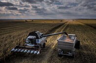 【写真特集】気候変動がロシアにもたらす好機