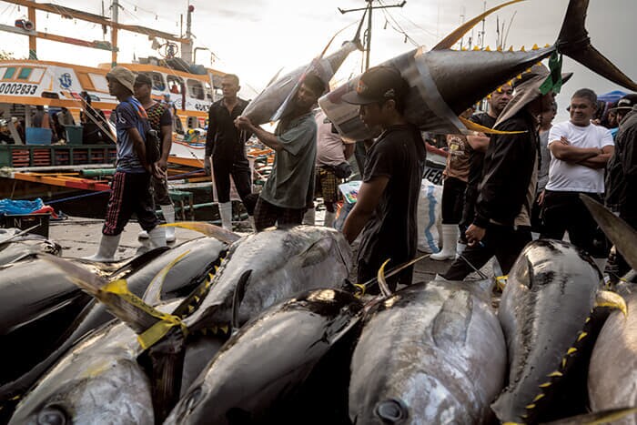 約1カ月の航海を終え、フィリピンのジェネラルサントス港でキハダマグロ、メバチマグロ、クロカジキの水揚げを行う漁師たち。「フィリピンのマグロの首都」として知られるこの港は、マグロ漁業や輸出の拠点だ(5月21日)