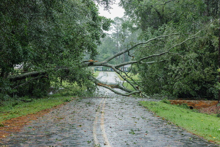 防災と気候変動対策