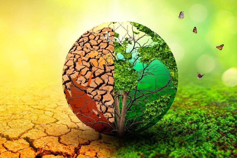 sarayut_sy／Shutterstock