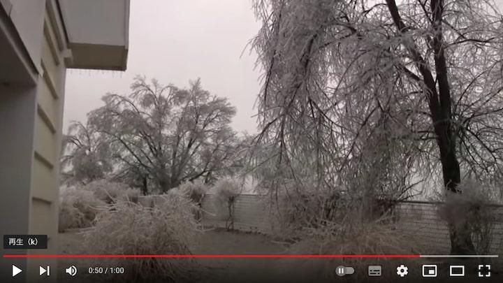 凍った木に近づくのは危険なのだという（2009年アーカンソー州の動画からのキャプチャ画面）　 basicbrewing/YouTube