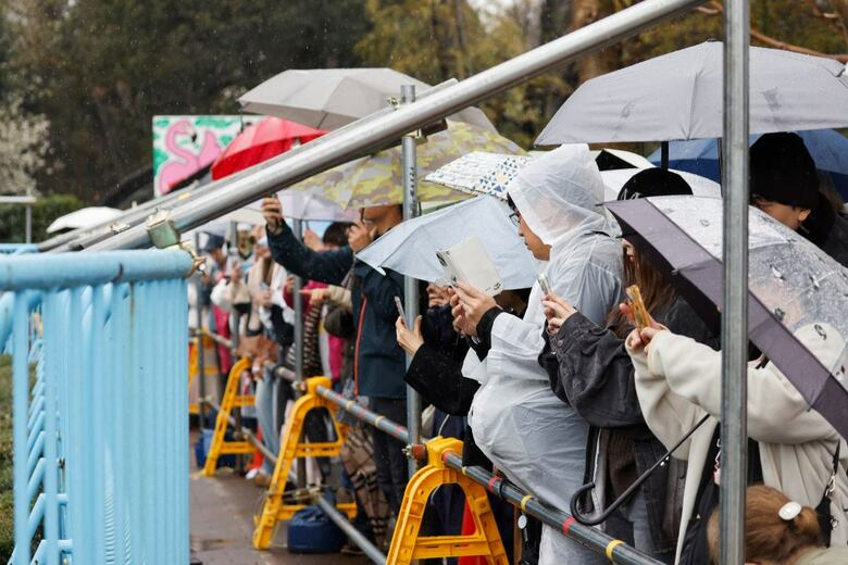 「パンチくんフィーバー」は偶然ではなかった…「公立」市川市動植物園が取り組んできた地道な工夫