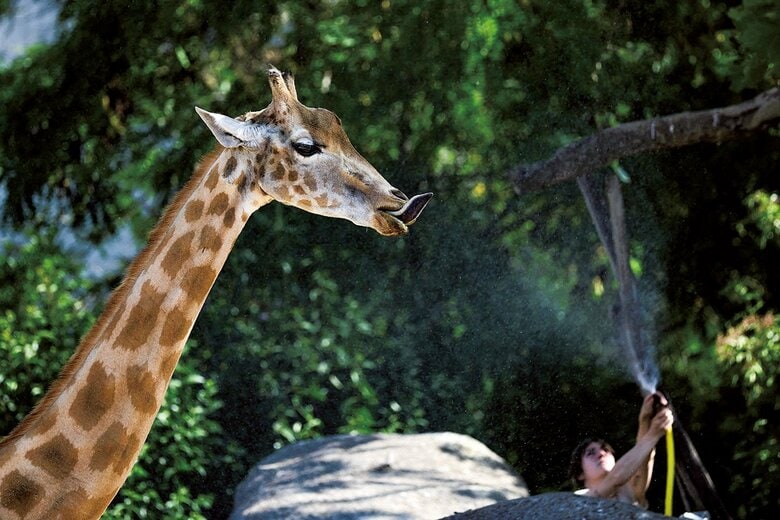 GONZALO FUENTES-REUTERS