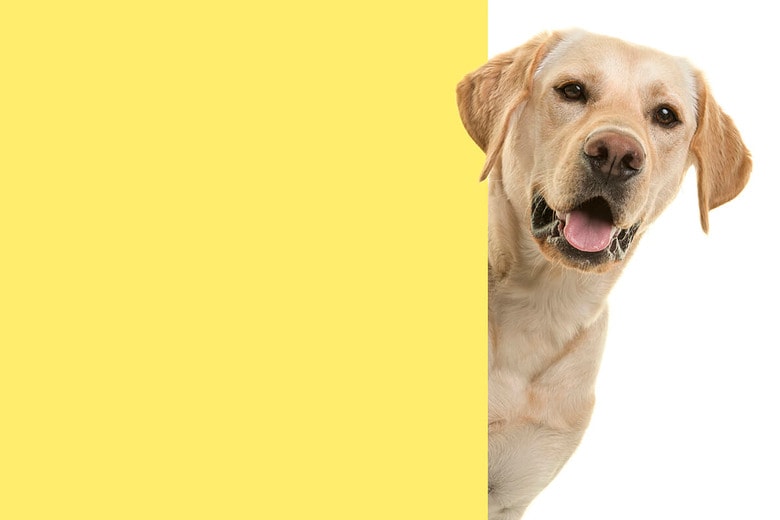 （写真はイメージです）　MirasWonderland-iStock