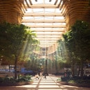 米国ポートランド・新ターミナルが注目を集める理由！　『 持続可能な空港で体感する幸福感？ 』 空港トップが語るリーダーの３つの真髄とは？