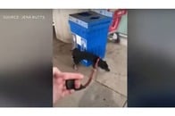 飼い犬がロストバゲージに......21時間木箱に詰め込まれ尿まみれ