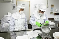 障害者や高齢者の力で「未利用魚」を「魅了魚」に...新潟アパタイトとWith Youが目指す「水福連携」
