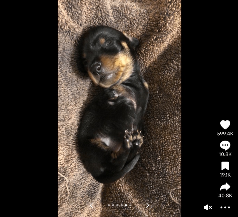 スクリーンショット 2025-09-03 12.14.35.png