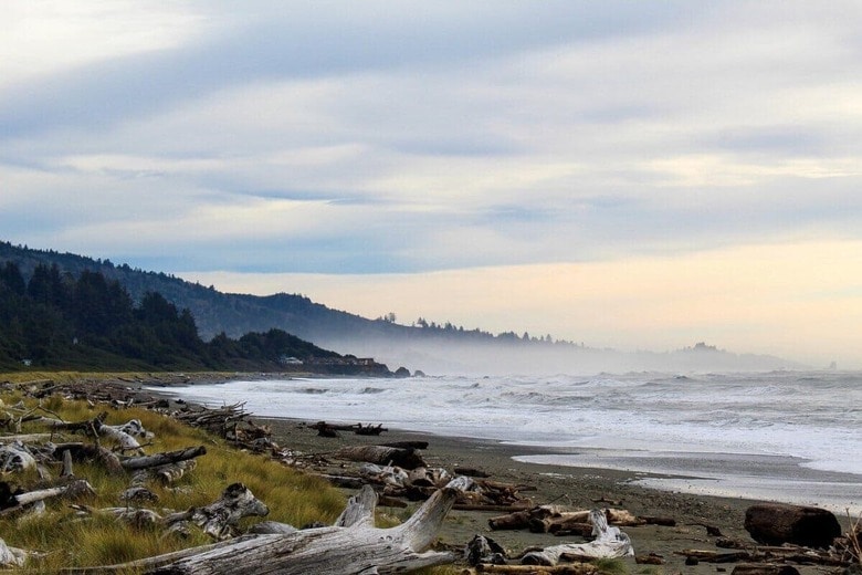 写真はイメージです　Nick_the_Photographer/Pixabay