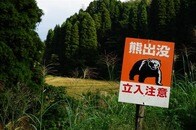 クマに9回襲われて生還した専門家が警告する、首都圏「クマ出没」要注意エリア