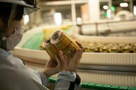 ビール麦とは？ 若ビールとは？ 意外と知らないビールの造り方を解説
