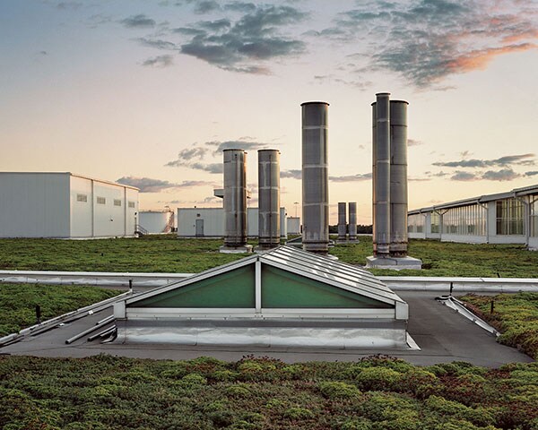 ppgreen07.jpg