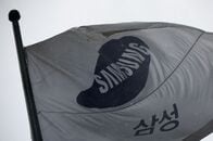 アクティビストがサムスン傘下標的、韓国ガバナンス改革の試金石
