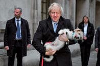 英総選挙、保守党圧勝でもEU離脱が難しいこれだけの理由