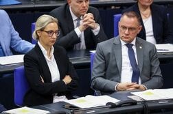 独極右ＡｆＤ、支持率28％で過去最高＝ＩＮＳＡ調査