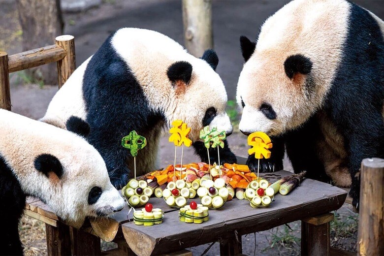 GAN HAOMINｰVCG/GETTY IMAGRS