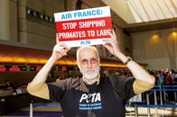 「業界内では、人気者ではない」過激な動物愛護運動に燃える、映画『ベイブ』のおじさんが問い続ける理由