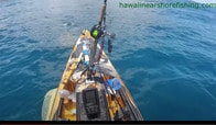 【動画】カヤックをサメに急襲され、絶叫する釣り人